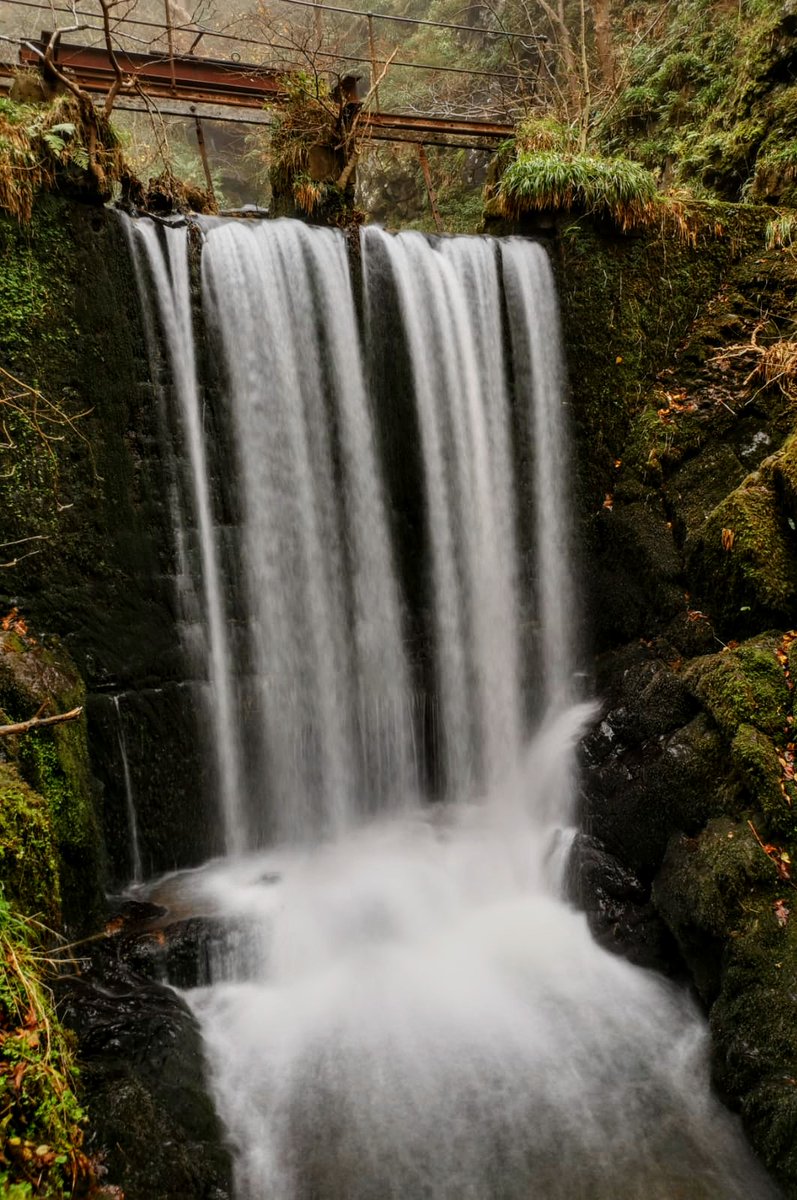 alva_glen's tweet photo. Although the lovely burnt autumnal colours are starting to fade, this gives us a perfect excuse to focus on the wonderful cacades of water that make the Glen so magical. https://t.co/QwGJrOmyM8