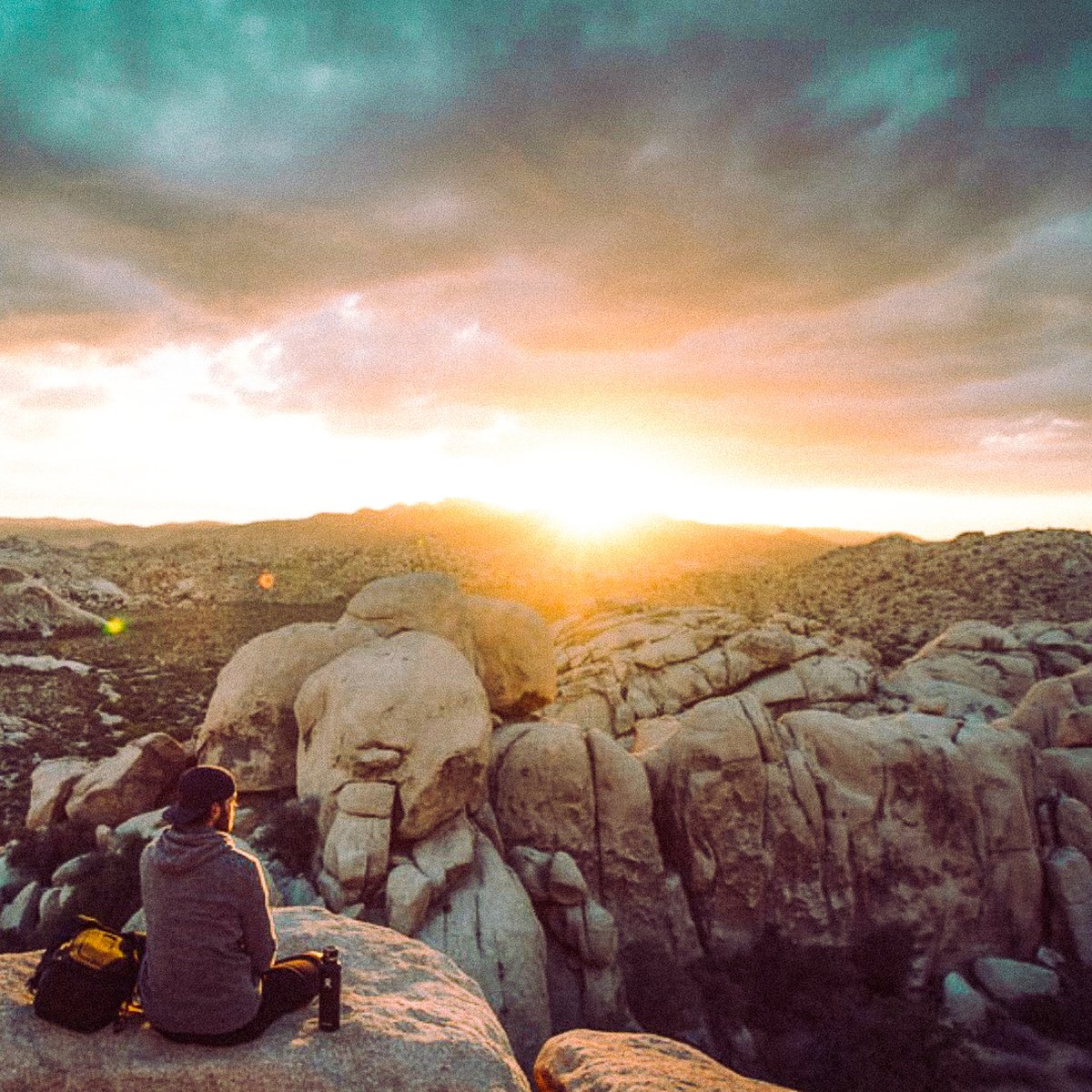 The Secret Tours - Joshua Tree tweet media