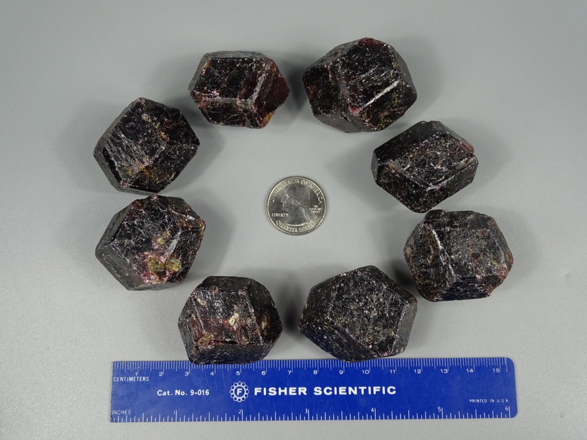 OldEarthMineral's tweet photo. Chunky Garnet Crystals $20 each plus shipping. 74-94 grams each, 4 - 4.5 cm each.
#garnets #largegarnets #redgarnets #garnet #crystals #crystalhealing https://t.co/PmCqFCw66W