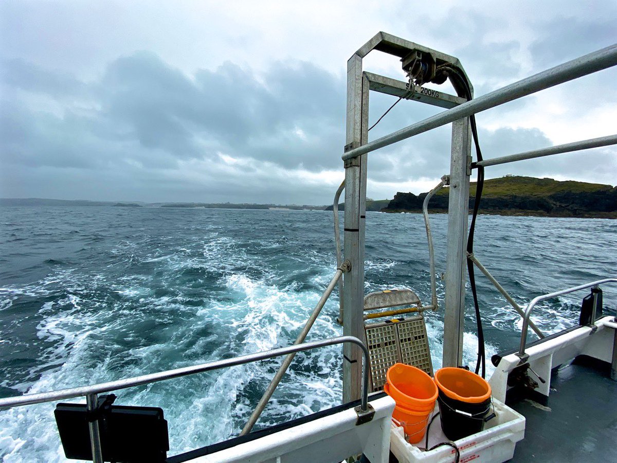 simon_reeve's tweet photo. Not long now and in #CORNWALL ep2 tonight you lucky things get to meet #GREYSEALS (!) and the wonderful Sue Sayer – from Cornwall Seal Group Research Trust @Suesseals 
https://t.co/WIE9PGzrfs
*
https://t.co/EByKwRjw07
@BBCTwo
@bbciplayer
@BeagleMedia https://t.co/aBQ1PsRQrN