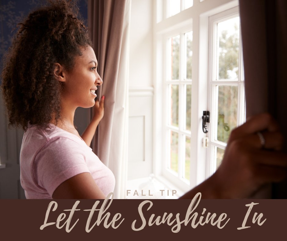BryansUnited's tweet photo. Cold inside? Open the curtains to let the sunshine warm your home! https://t.co/u0CbW5ZwTP