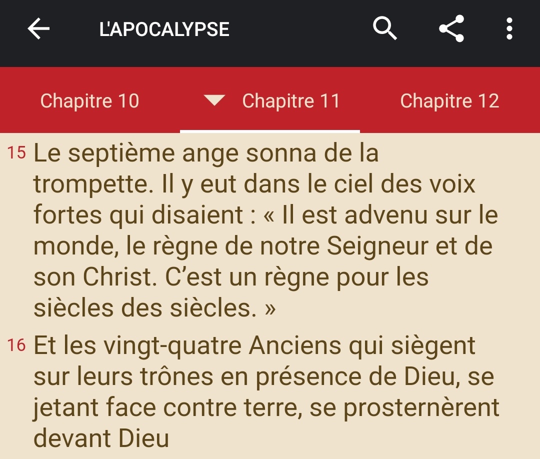 " Les vingt-quatre Anciens et les quatre Vivants se prosternèrent et adorèrent Dieu qui siège sur le trône ; ils proclamaient : « Amen ! Alléluia ! » (Apocalypse 19 ; 4) #prêtres  #prêtres  #messe  #liturgie