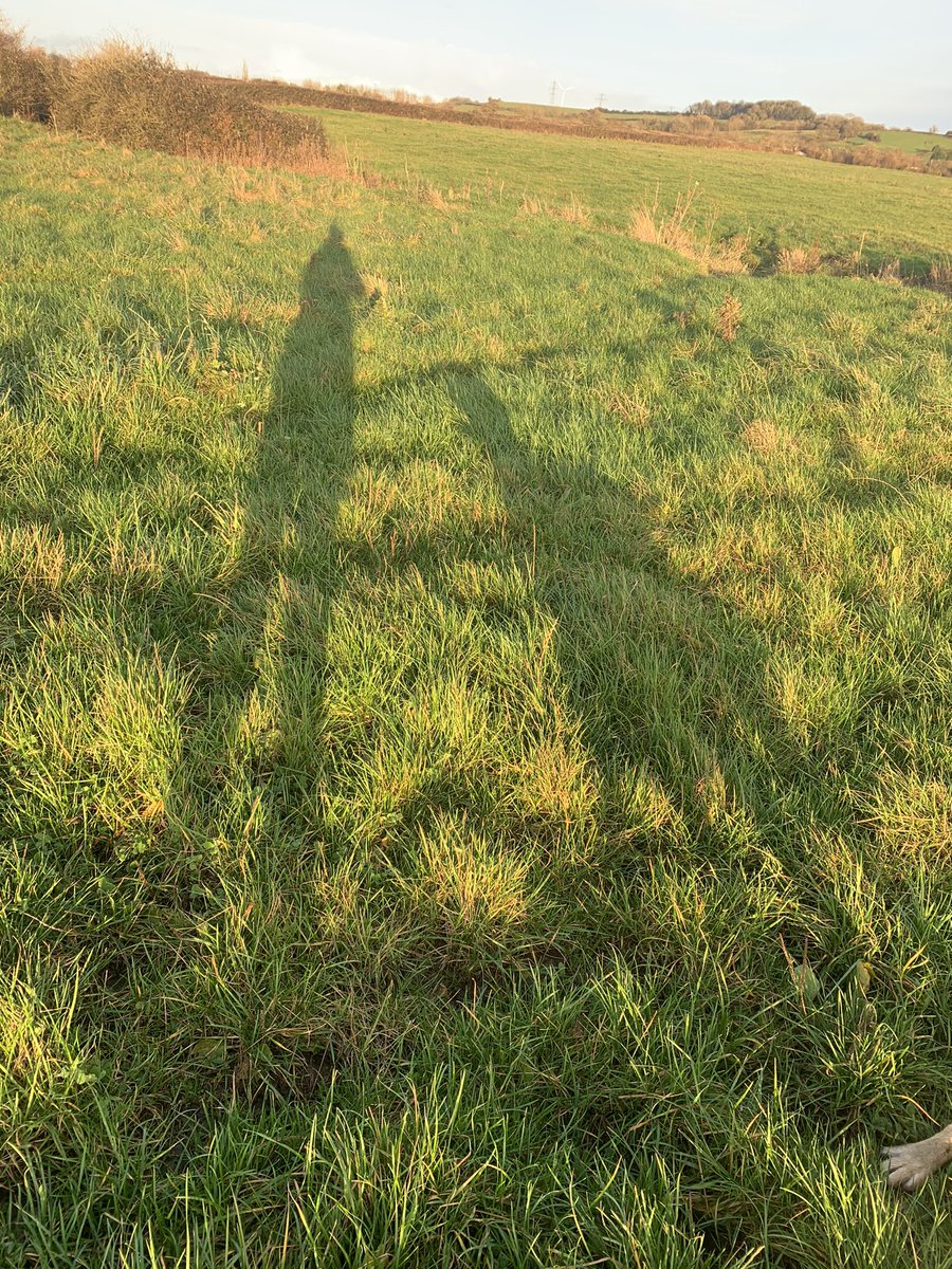 Alex Lovell tweet media