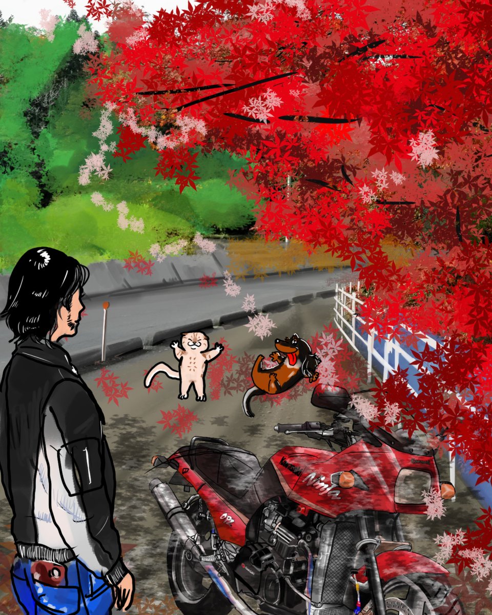 にゃんこサムライ イラスト制作屋 紅葉に触発されてオリジナルキャラのニンジャ乗りと動物達のイラストです しかし紅葉キレイだった 紅葉 もみじ ｇｐｚ９００ｒ バイク乗りと繋がりたい イラスト好きな人と繋がりたい ダックスフンド