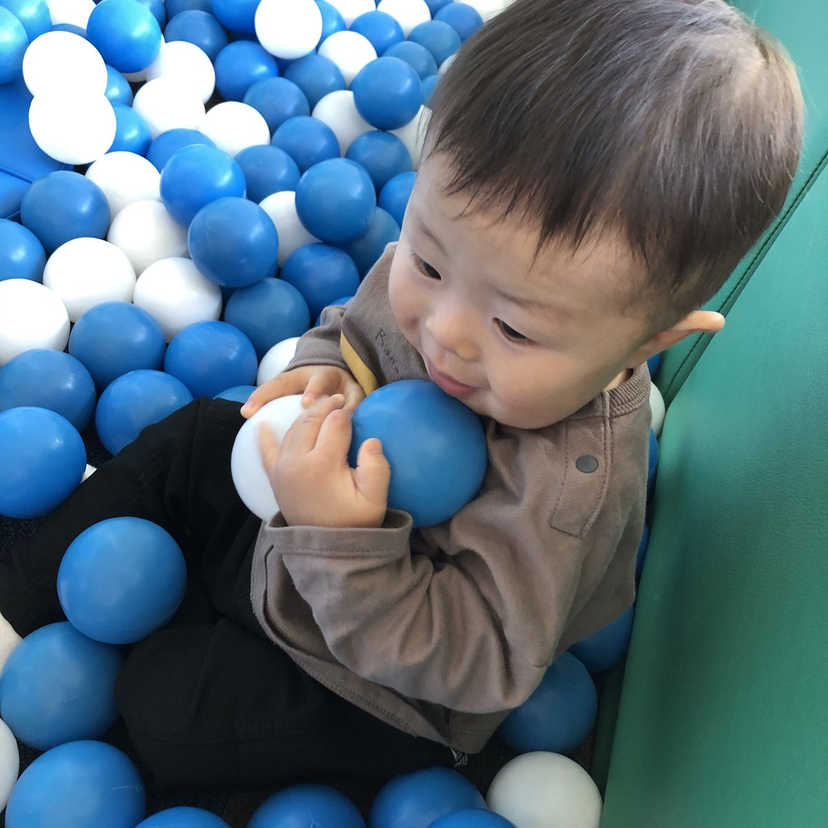 mo_0803r's tweet photo. 永晴❤️2020年11月15日
1歳のお誕生日😊🎉 https://t.co/Q5YMPJAATg