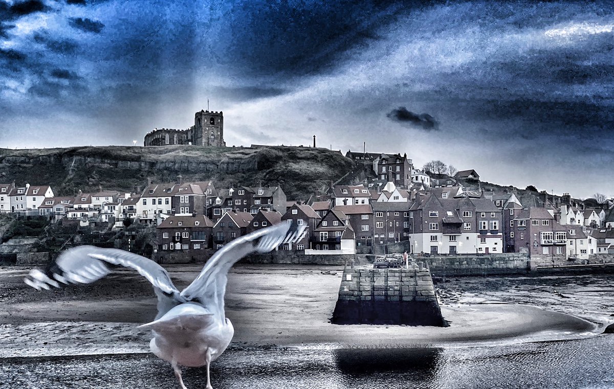 helenofwhitby's tweet photo. Seagull Photo Bomb 📸 They have to be in! Divebombing so many of my shots !

#Whitby
#seagull
#artyfilter
#whitbylife https://t.co/10iyDlFOrB