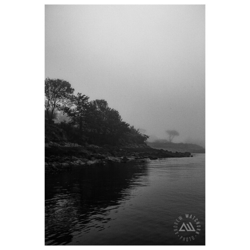 AWatchornPhoto's tweet photo. Foggy Morning - Schull, Co. Cork.
⁣⁣⁣.
#schull #seafront #westcork #fog #cork #Ireland #coast #blackandwhite #instagrambnw https://t.co/2z1YC9gSaJ https://t.co/pux5sfQMEY https://t.co/GfpCAIdQTy