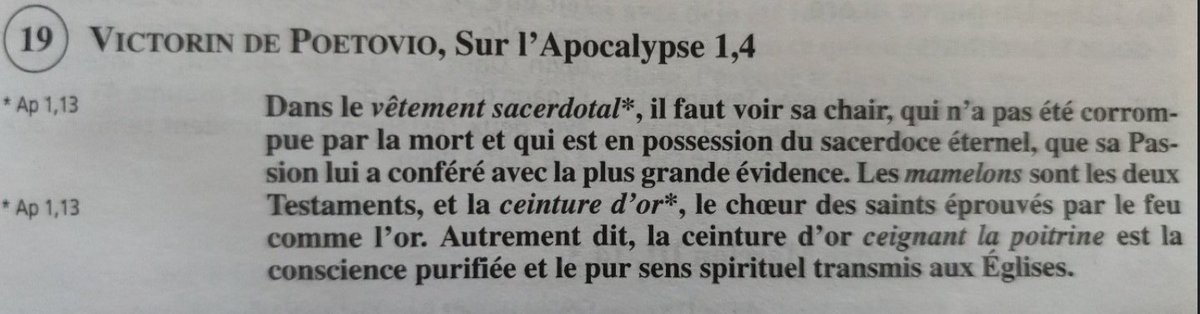 " et au milieu des chandeliers un être qui semblait un Fils d’homme, revêtu d’une longue tunique, une ceinture d’or à hauteur de poitrine ; " (Apocalypse 1 ; 13) #messe  #liturgie