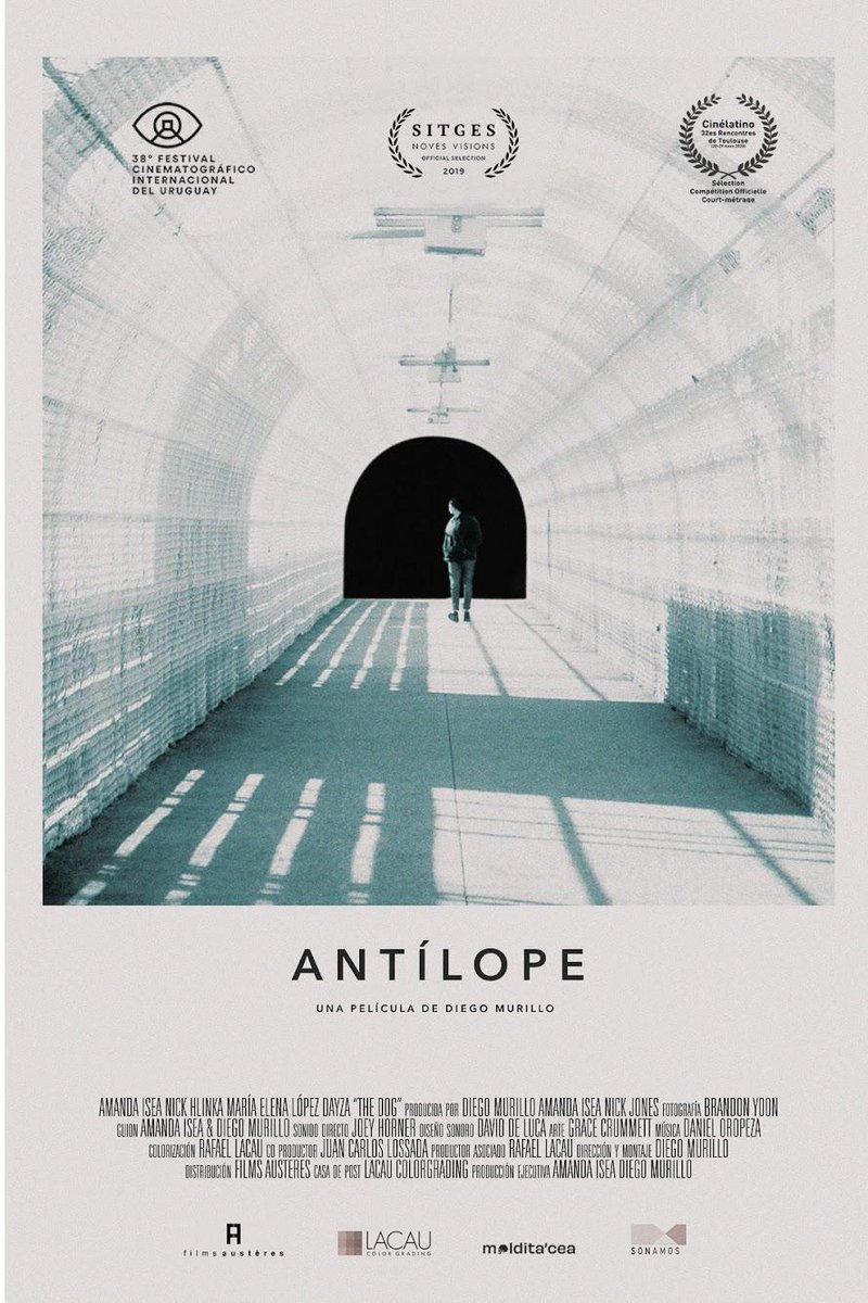 Enhorabuena! 

El cortometraje <a href="/antilopeshort/">Antílope Short Film</a> del venezolano <a href="/dmt_soce/">Diego Andrés Murillo</a>, ha sido admitido en el 38° Festival Cinematográfico Internacional del Uruguay, sección "Panorama Internacional de Cortometrajes", del 21 de noviembre al 5 de diciembre de 2020.  

Felicidades!