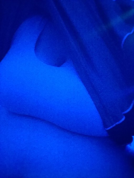 I just got to 50 subs on my free onlyfans! My VIP page is really needing some love, it's got over 10<a href="/tag/boobs"class="tags"><span>#boobs</span></a><a href="/tag/babyboy"class="tags"><span>#babyboy</span></a><a href="/tag/tits"class="tags"><span>#tits</span></a><a href="/tag/breasts"class="tags"><span>#breasts</span></a><a href="/tag/barechest"class="tags"><span>#barechest</span></a><a href="/tag/manboobs"class="tags"><span>#manboobs</span></a>