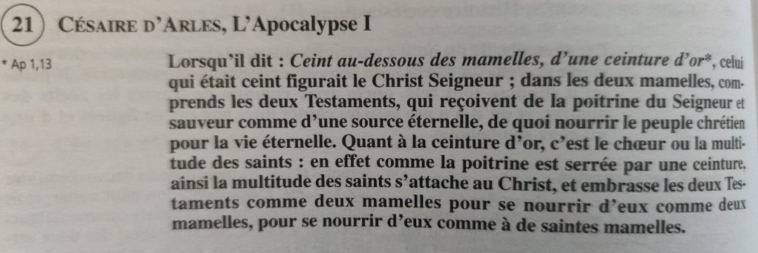 " et au milieu des chandeliers un être qui semblait un Fils d’homme, revêtu d’une longue tunique, une ceinture d’or à hauteur de poitrine ; " (Apocalypse 1 ; 13) #messe  #liturgie