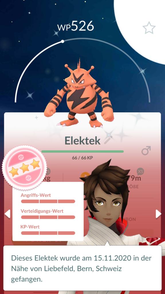 DaJanTRO's tweet photo. 23 shinies und den hier geplust 🤘
#shundo
#PokemonGOCommunityDay
#Elektek
little cup when I'm back home
https://t.co/3oO5sX84nZ https://t.co/cIR61ILbQ1