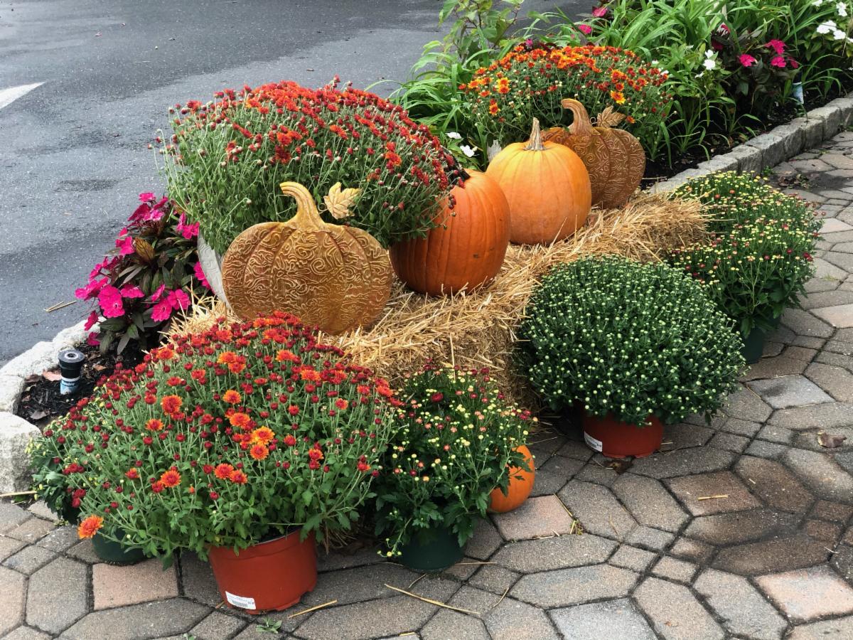 Thank you to our VIP's conta.cc/36EiXjZ