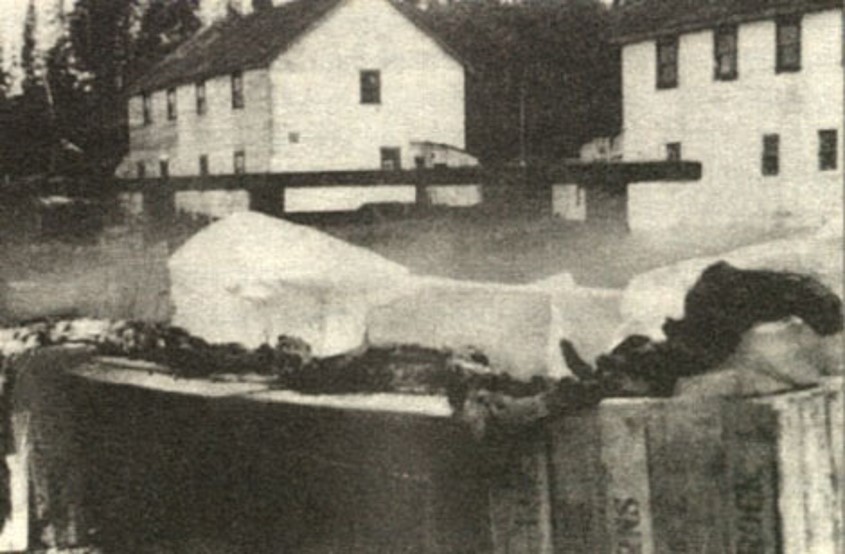 It's  #TetZoocryptomegathread time, in which I take a VERY long, detailed look at a monster-themed photo, or photos, or bit of film. This time, we look AGAIN at photos alleged to show a monster carcass: the 1937 Naden Harbour  #Cadborosaurus sea monster carcass…  #cryptozoology