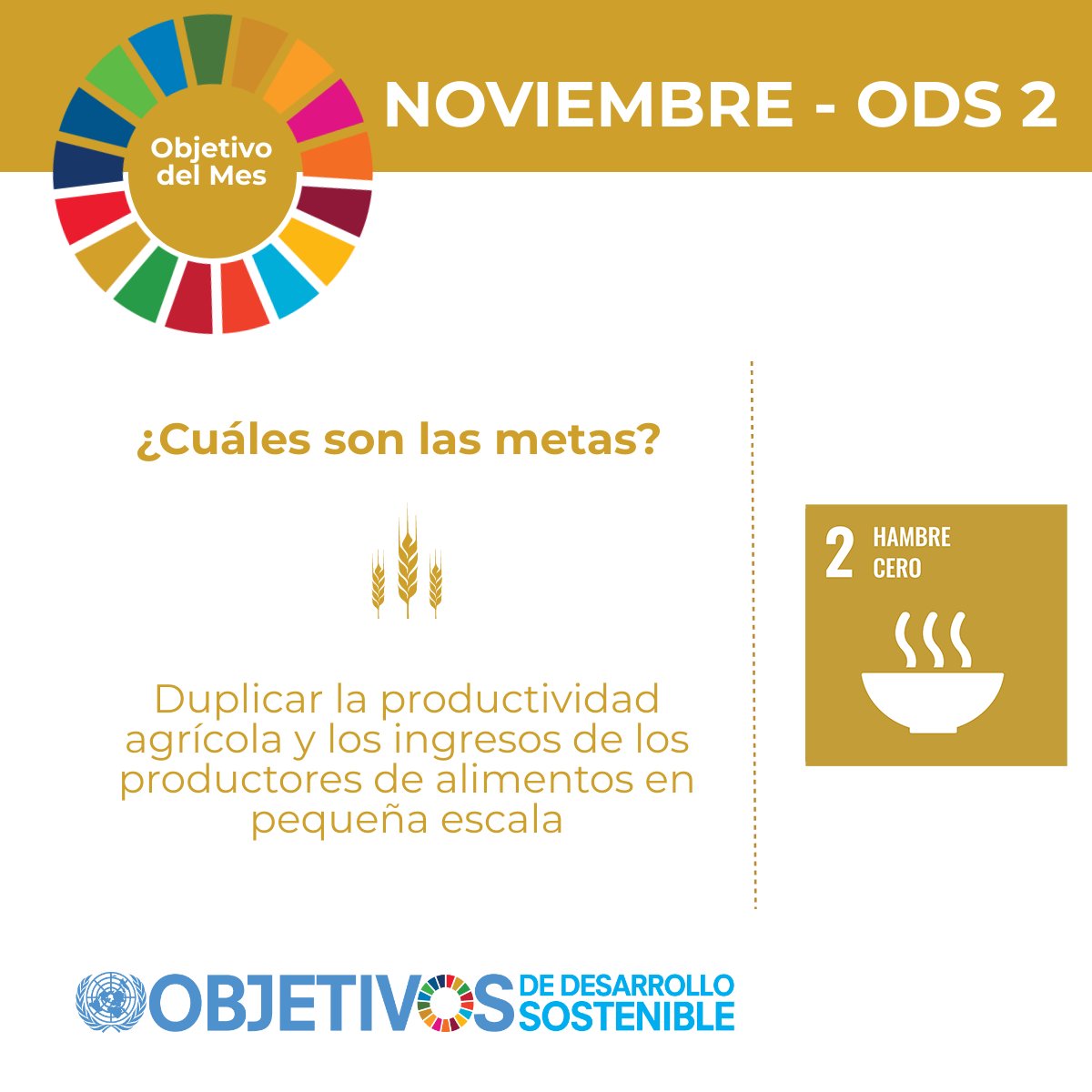 PNUD_Mexico's tweet photo. Noviembre es el mes del #ODS2 Hambre cero. Una de sus metas es duplicar la productividad agrícola y los ingresos de los productores de alimentos en pequeña escala. Conoce más https://t.co/m0gKqApPZQ https://t.co/0icIB2QPve