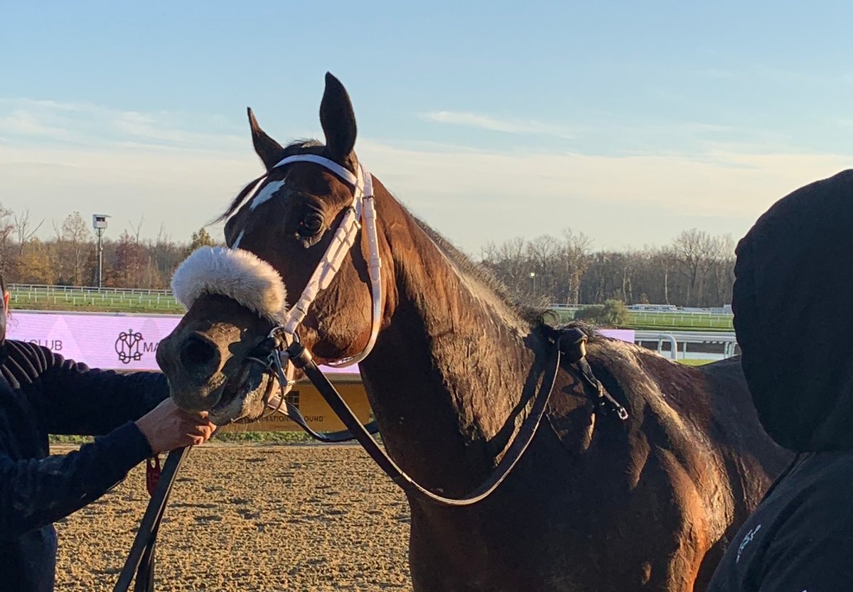 OurNJhorses's tweet photo. Proud of No Cents and his win yesterday in the James F. Lewis III Stakes @laurelpark. Not sure but this might be the first 2-year-old stake win from our family’s Blue Sparkler line in 66 years. Thanks to Cal Lynch and his crew for believing in him. https://t.co/mKM1jfnfeF