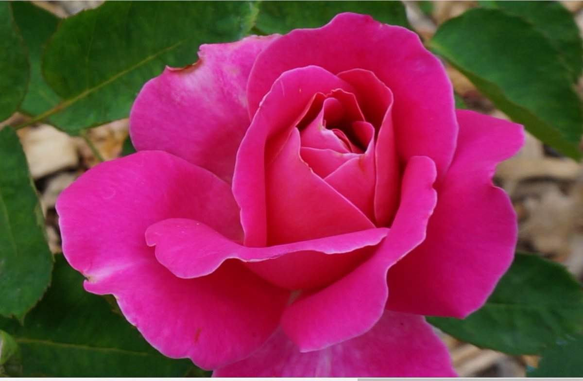 트윗 또 오랜만에 들어와 봄. 왜 왔니? ㅎㅎ 그냥