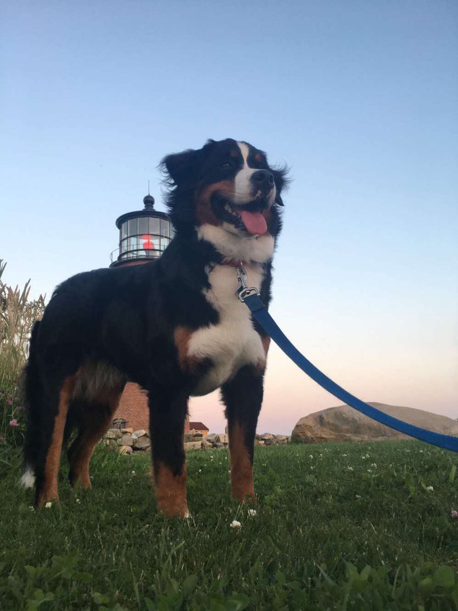 DU ZooSoc tweet media