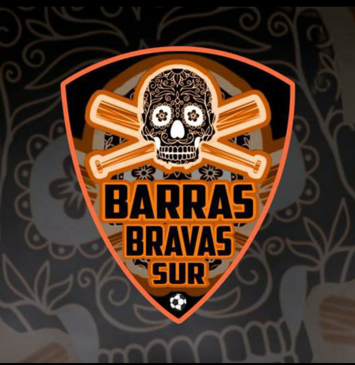 ggccrr77's tweet photo. A por el ascenso !!! @BARRASBRAVASSUR https://t.co/hVD2ko87GQ