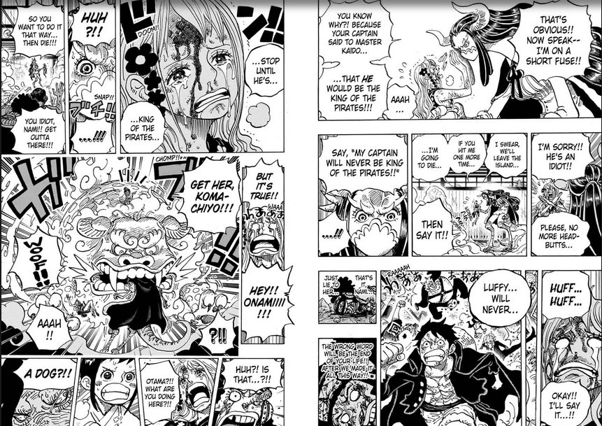 I edited the anime's version of Nami saying Luffy will be king