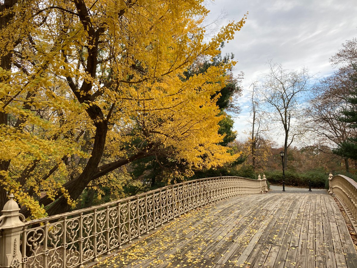 SamanthaHeller's tweet photo. Your life matters. Your loved one's lives matter.  Wear a mask. Wash hands frequently. Avoid any size gathering. Any size. Do not travel unnecessarily. We can hold on a while longer. 
#moringrun #CentralPark #Wearamask #fightcovidfatigue https://t.co/HUBjzjMzXZ