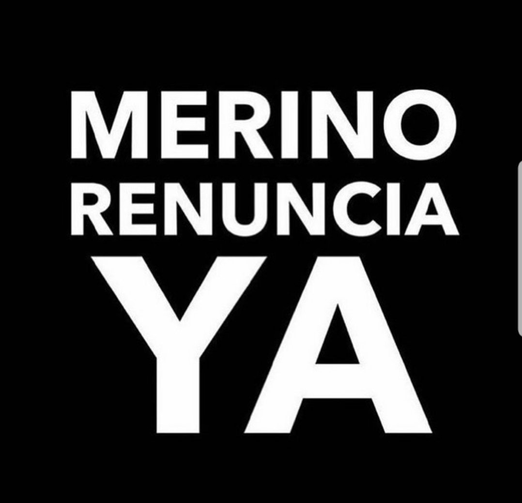 Ecosfera Biodegradables tweet media