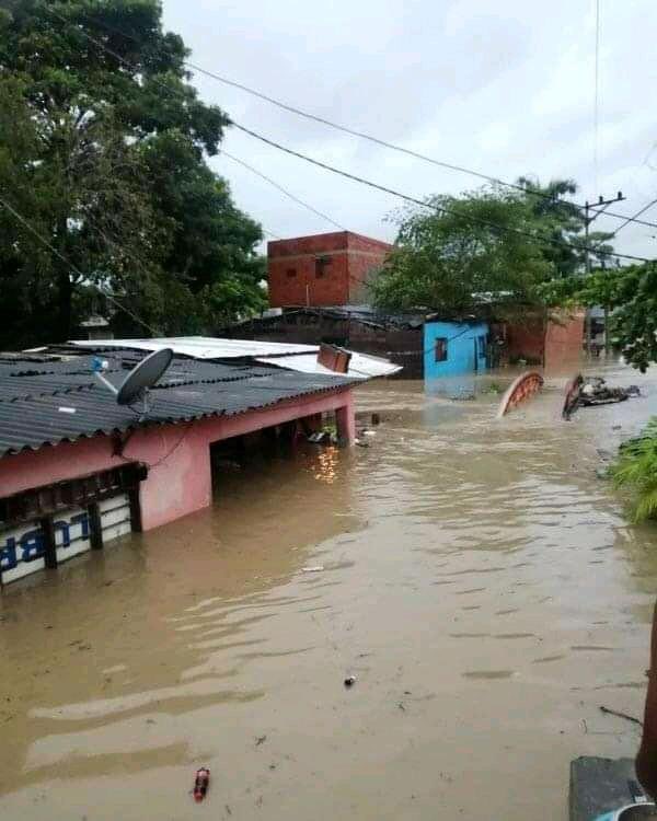 Susana De León tweet media