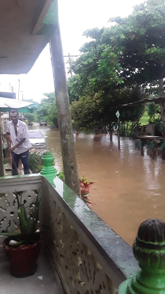 Susana De León tweet media