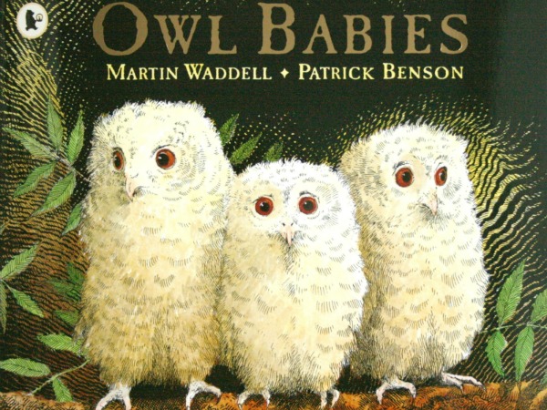 kidslitfest's tweet photo. Ready, set, read and share! Today we're reading #OwlBabies (1992) by #MartinWaddell with stunning illustrations by #PatrickBenson and you can join us here https://t.co/xbikEobK3Z https://t.co/MAJ3ARVHEw
