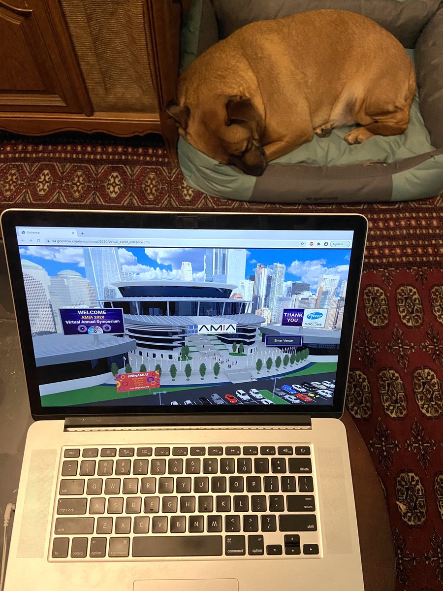 Lauren_Rost's tweet photo. @AMIAinformatics My #AMIABUDDY for #AMIA2020 snores... https://t.co/XYjGL9ct4M