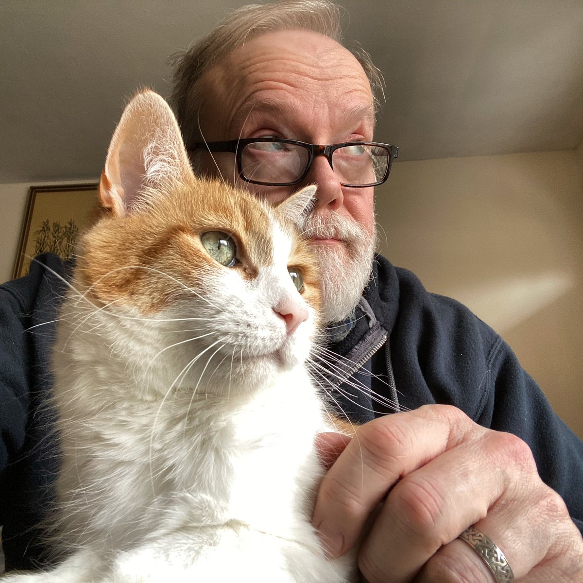 GLedouxVoiceovr's tweet photo. The neighbors are at it again. #CatsOfTwitter #rustythecat #coveredincathair https://t.co/KULJg9XLRg