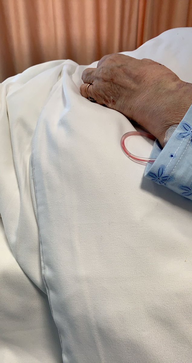 genisnallbani tweet media