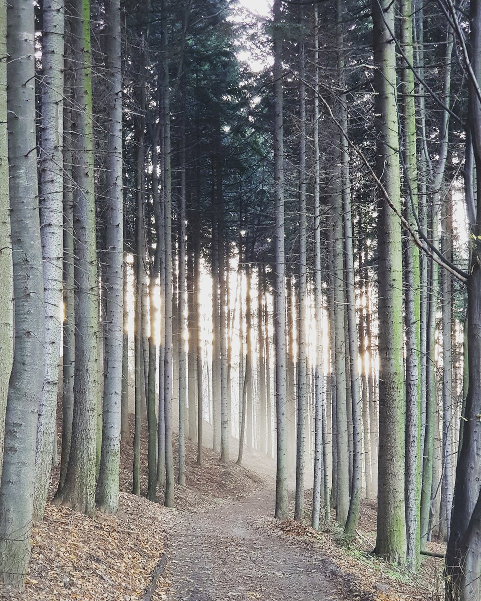 Naddachami's tweet photo. Klimatycznie 😍 https://t.co/fvt05gFOQo