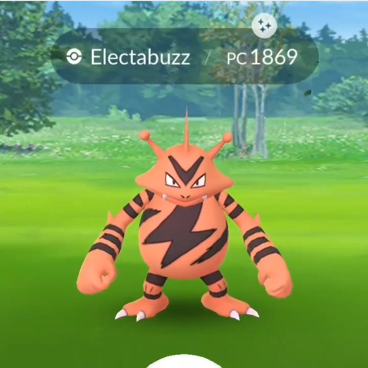 Victorvmsant's tweet image. Brilhou 🤩🤩 add!! 0209 2972 9648  #Pokémongo #pokemongobrasil #electabuzz⚡️ #comunitydaypokemongo