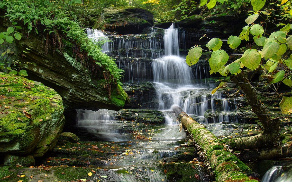 Zen moment for today! There's so much tension out there right now. Serious worries, fears, concerns, and problems. Take a minute to calm your mind, breathe, reconnect with nature, and allow mother earth's energy to heal and rejuvenate you. #innerpeace #groundingenergy