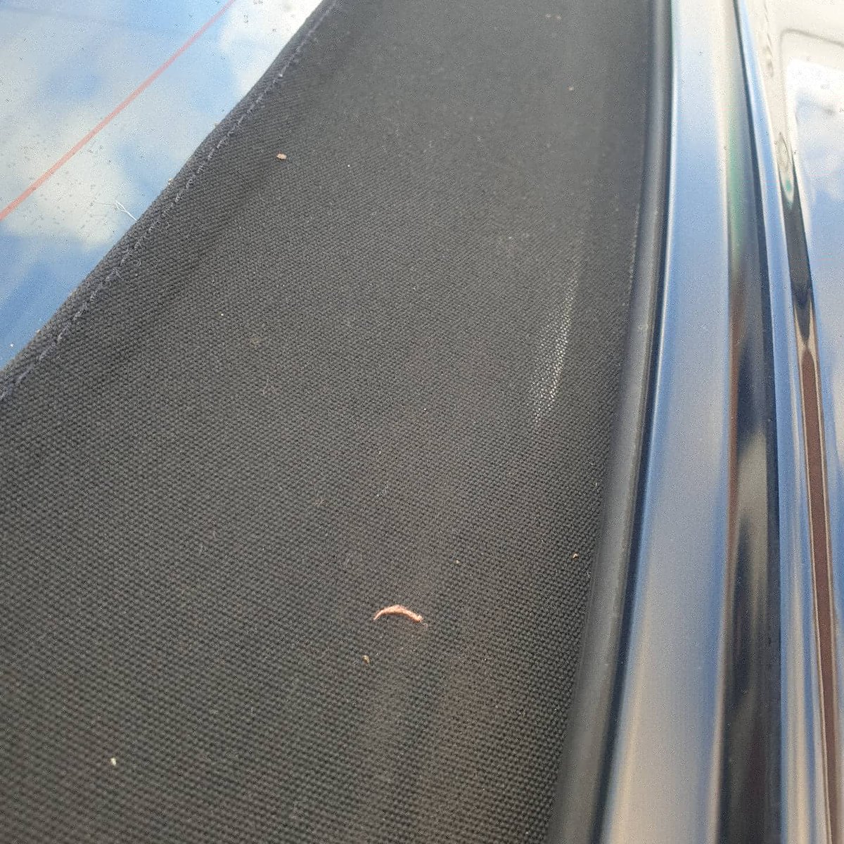 leedetailer's tweet photo. https://t.co/MVeOyrpYio