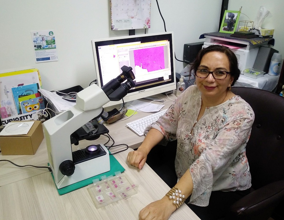 IPN_MX's tweet photo. #ComunicadoIPN 🗒️ Puede SARS-CoV-2 dañar el páncreas y provocar diabetes: científica del IPN 

Más información ➡️ https://t.co/TbwdGNsA4v https://t.co/JFDCkwpXa5