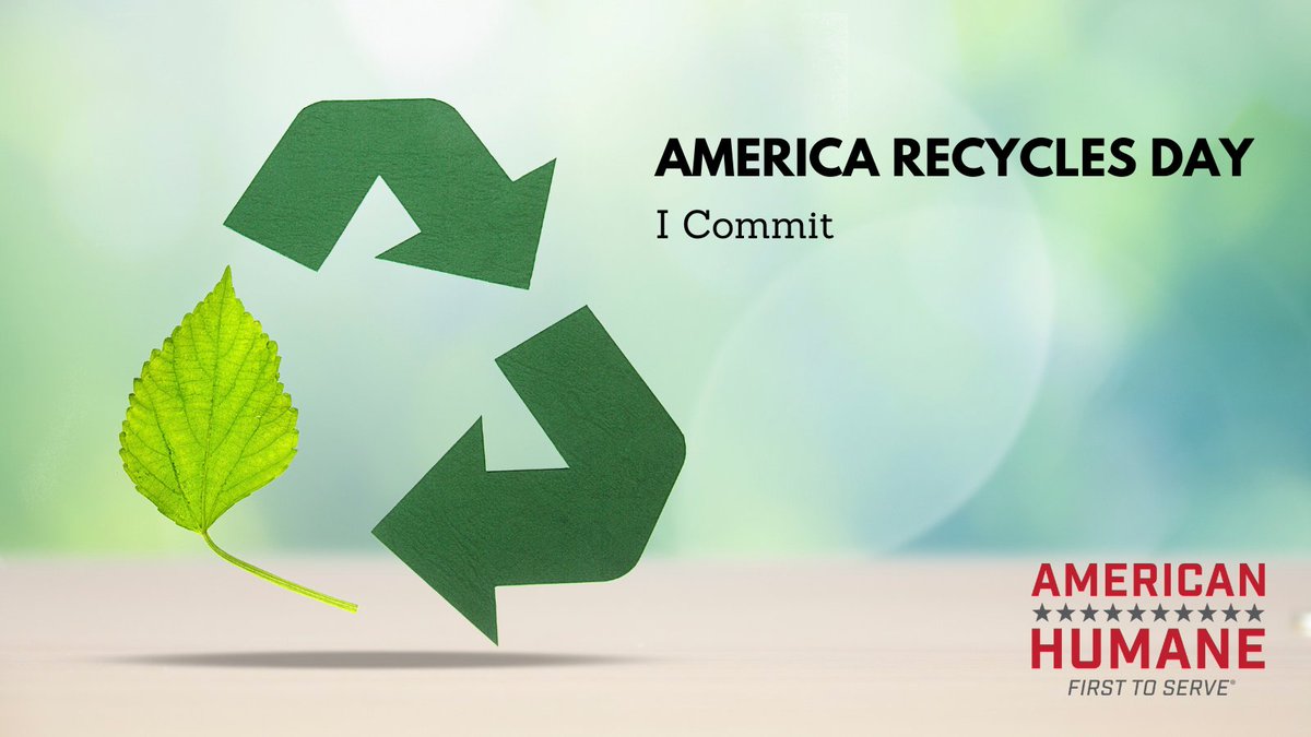 Millions of Animals Living in World’s Zoos and Aquariums to Be Afforded