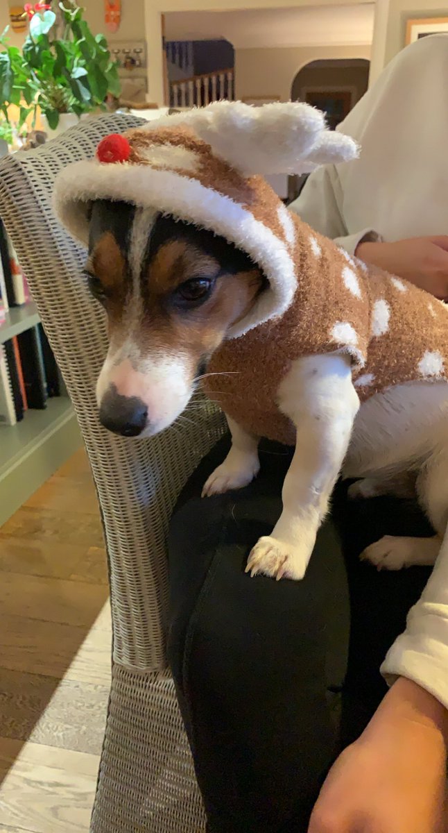 PonderSusie's tweet photo. Bought her a cute outfit to make it up to her tho ❣️ https://t.co/4uyGjQ3Nzr