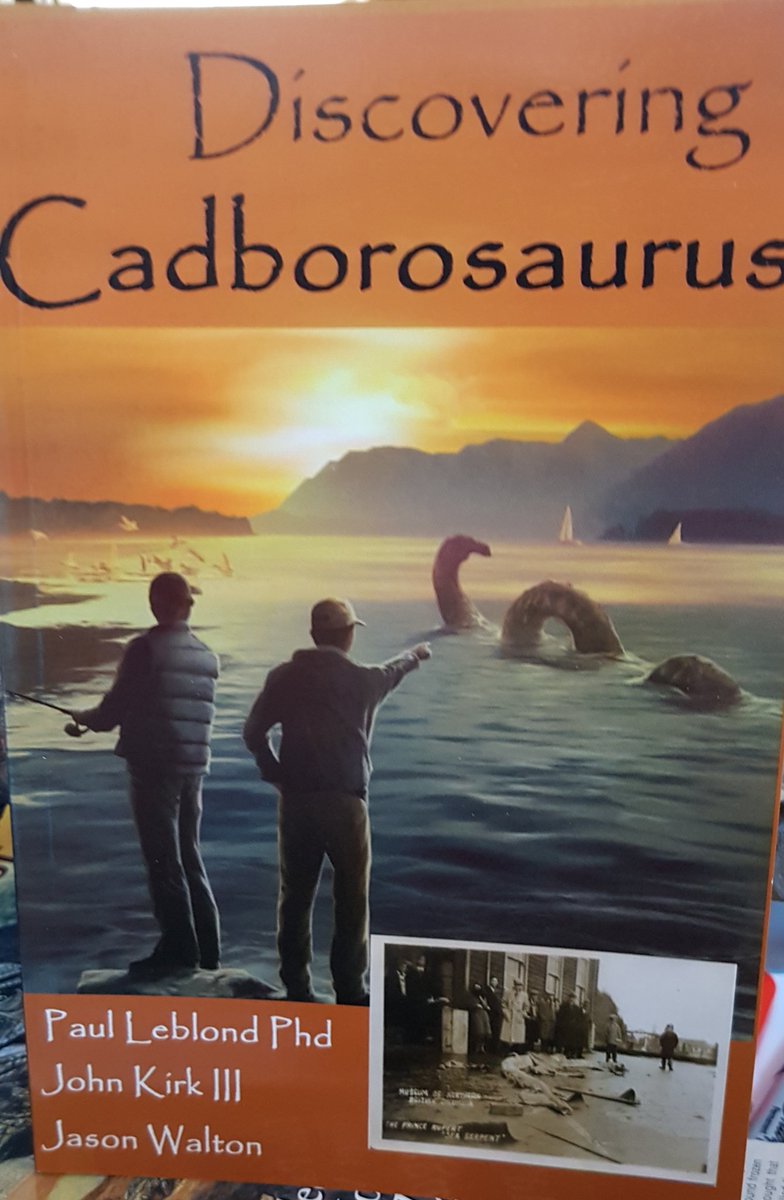 This information (from LeBlond et al.’s 2014 book Discovering  #Cadborosaurus, which I like very much) sounds compelling and detailed, and sure does make it sound as if the carcass was retained and preserve. But, alas, there’s no record…