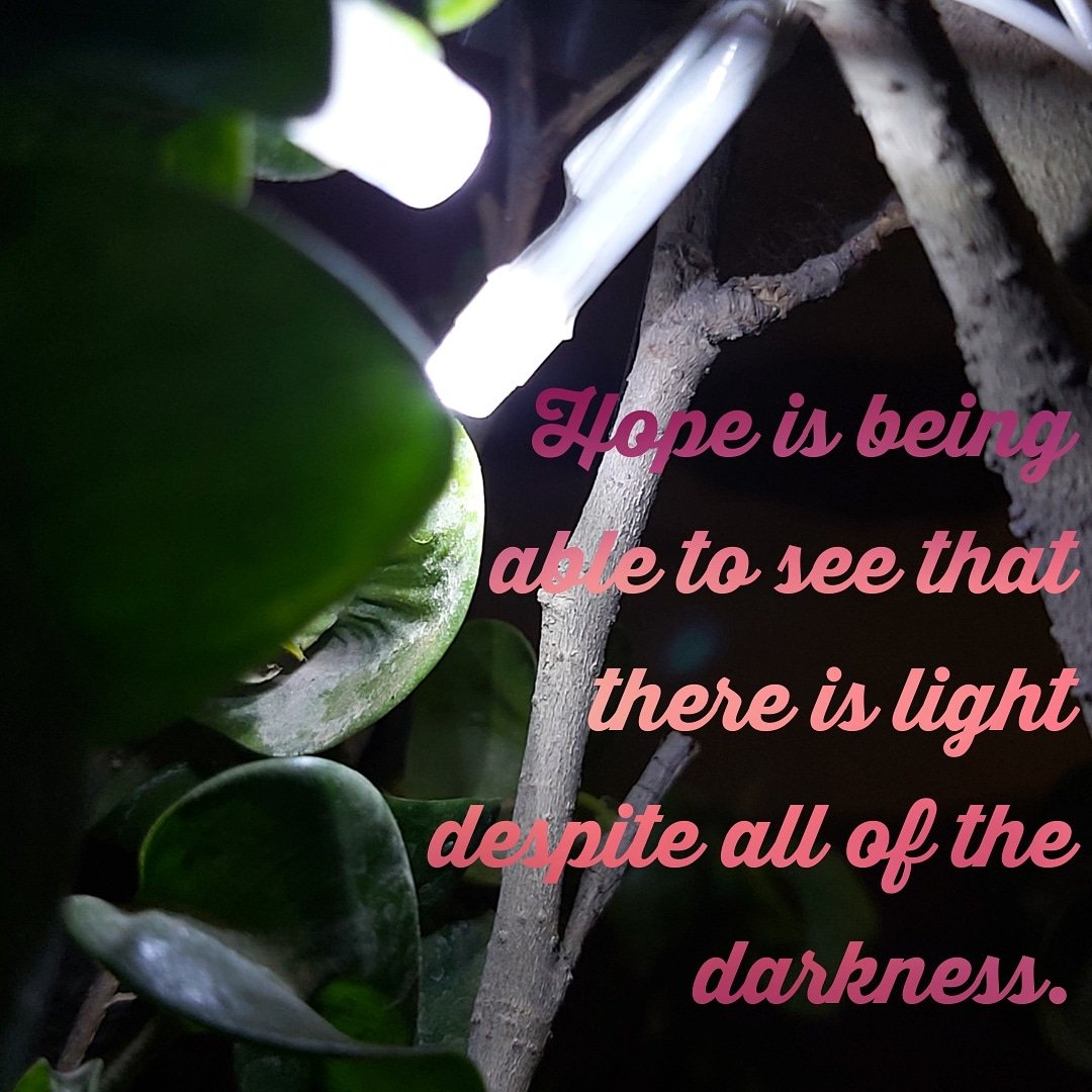 Manu_17_03's tweet photo. The light shines in the darkness, and the darkness has not overcome it.🙂✨🕯️
LIKE•SHARE•COMMENT•FOLLOW
#light #lightindark #lightitup
https://t.co/jAiNSuQ9eM https://t.co/XQUeA6EJZ1