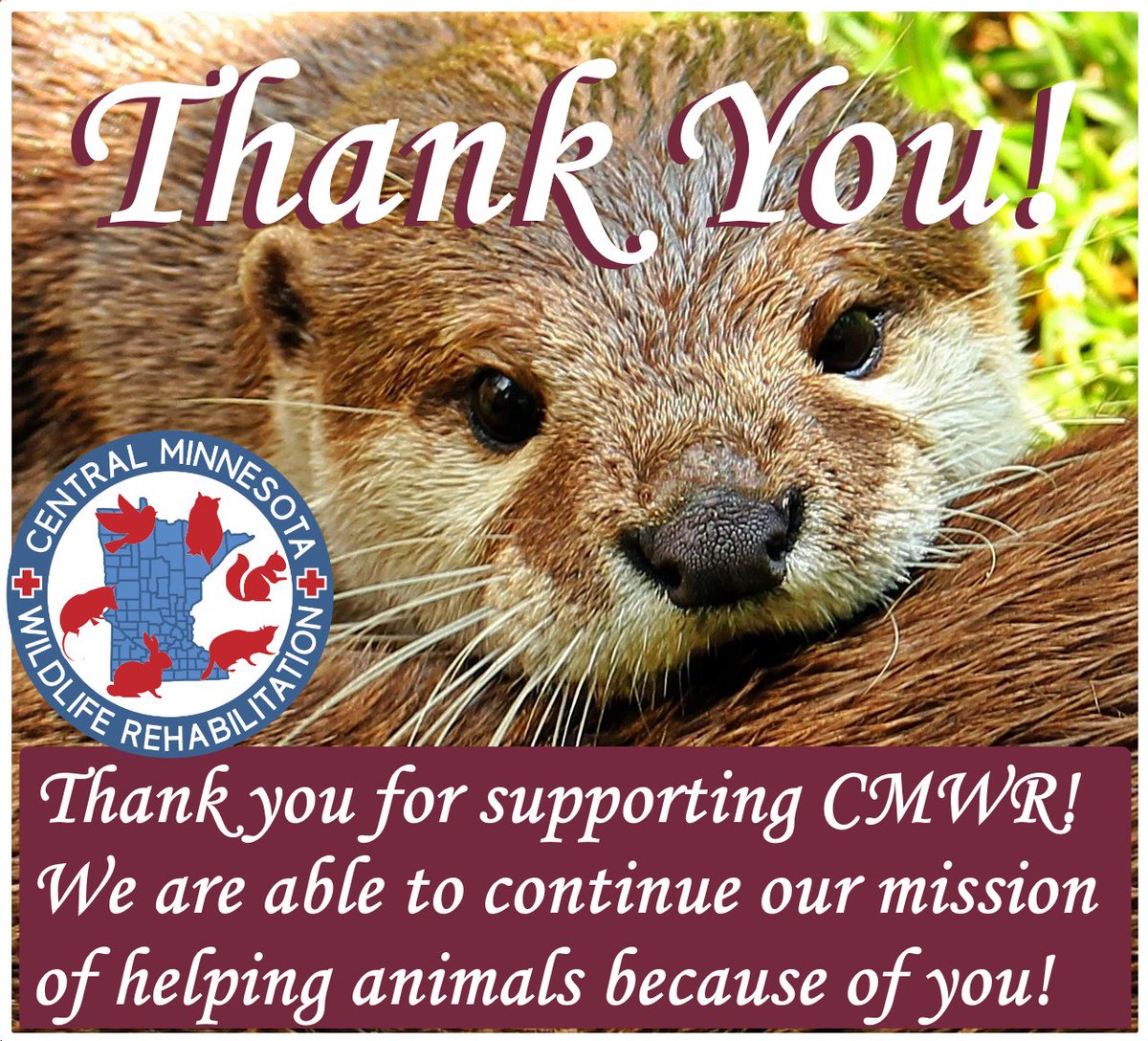 CtrlMNWildlife's tweet photo. We appreciate all of our supporters so much! Thank you for liking our page, following our stories, and for overall supporting the cause of Central Minnesota Wildlife Rehabilitation. We are grateful for you! #centralmnwildliferehab #thankyou https://t.co/eKPv3LeFoU
