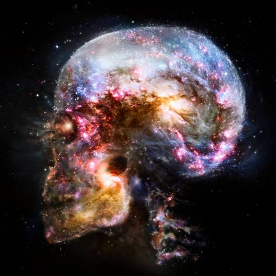GodBrahman's tweet photo. Not only are we in the Universe, the Universe is in us. I don’t know of any deeper spiritual feeling than what that brings upon me.
Neil deGrasse Tyson https://t.co/7loXtit8LX