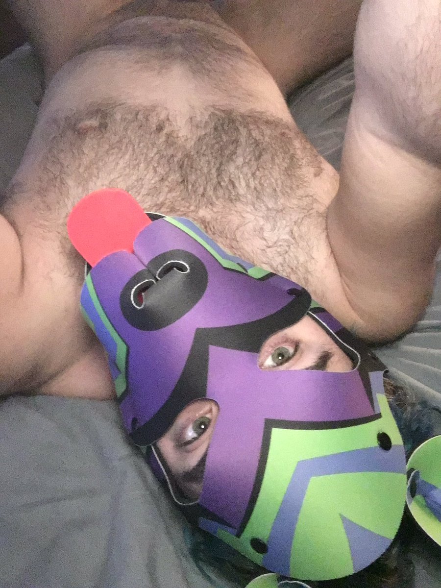 Pup_Kraken's tweet photo. #bandwagon

Puppy is bored and curious https://t.co/E9OLdE32v7