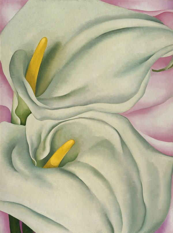 In the late ‘20s she carried out a number of skyline pictures. The Brooklyn Gallery held a retrospective in 1927. Her fame was assured by canny PR. She married Stieglitz (1924). Yellow Calla (1926), Red Poppy (1927), 2 Calla Lilies On Pink (1928) & Oak Leaves, Pink & Grey (1929)