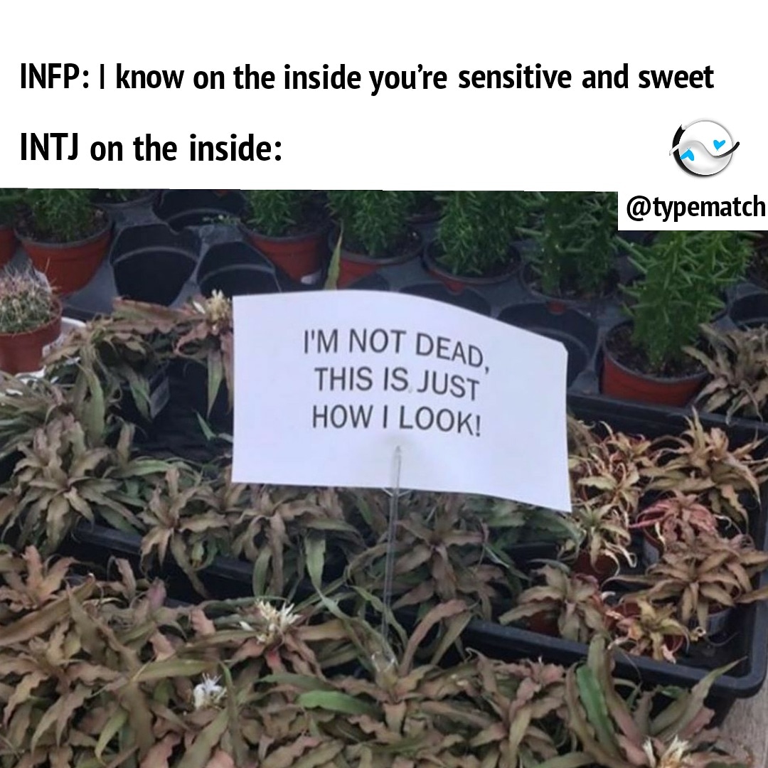 typematch_'s tweet photo. For ALL ORIGINAL MBTI content daily follow @typematch 😎

Find your INTJ or INFP match on the TypeMatch dating app (link in bio) ❤️

#mbti #myersbriggs #16personalities #mbtimemes #intuitives #introvert #introvertmemes #intj #intjlife #intjpersonality #intjmemes #infp https://t.co/BHIptzY0At