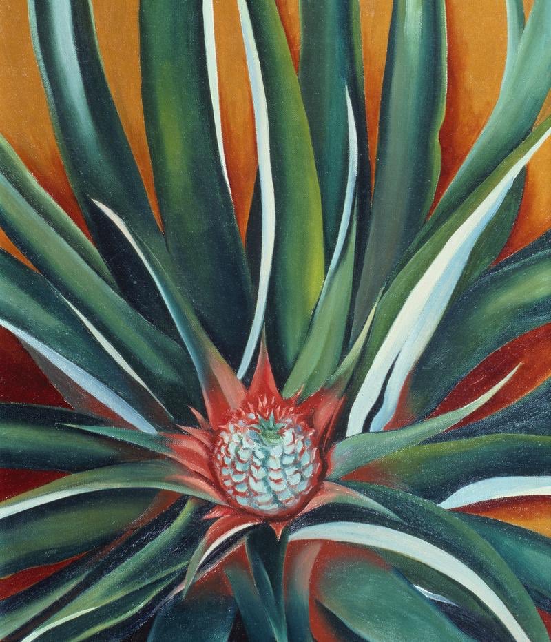 Her pineapple commission meant she visited Hawaii in 1939 which resulted in some 20 canvases she painted later in NY. Crab Claw (1939), Pineapple Bud (1939), Black Lava Bridge (1939) & Fishhook from Hawaii (1939). Fishhook is a tour-de-force!