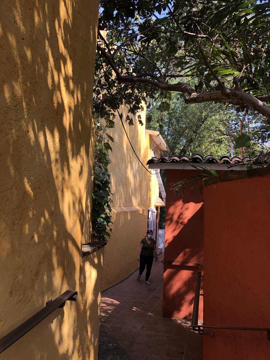 Peter Hollingsworth tweet media