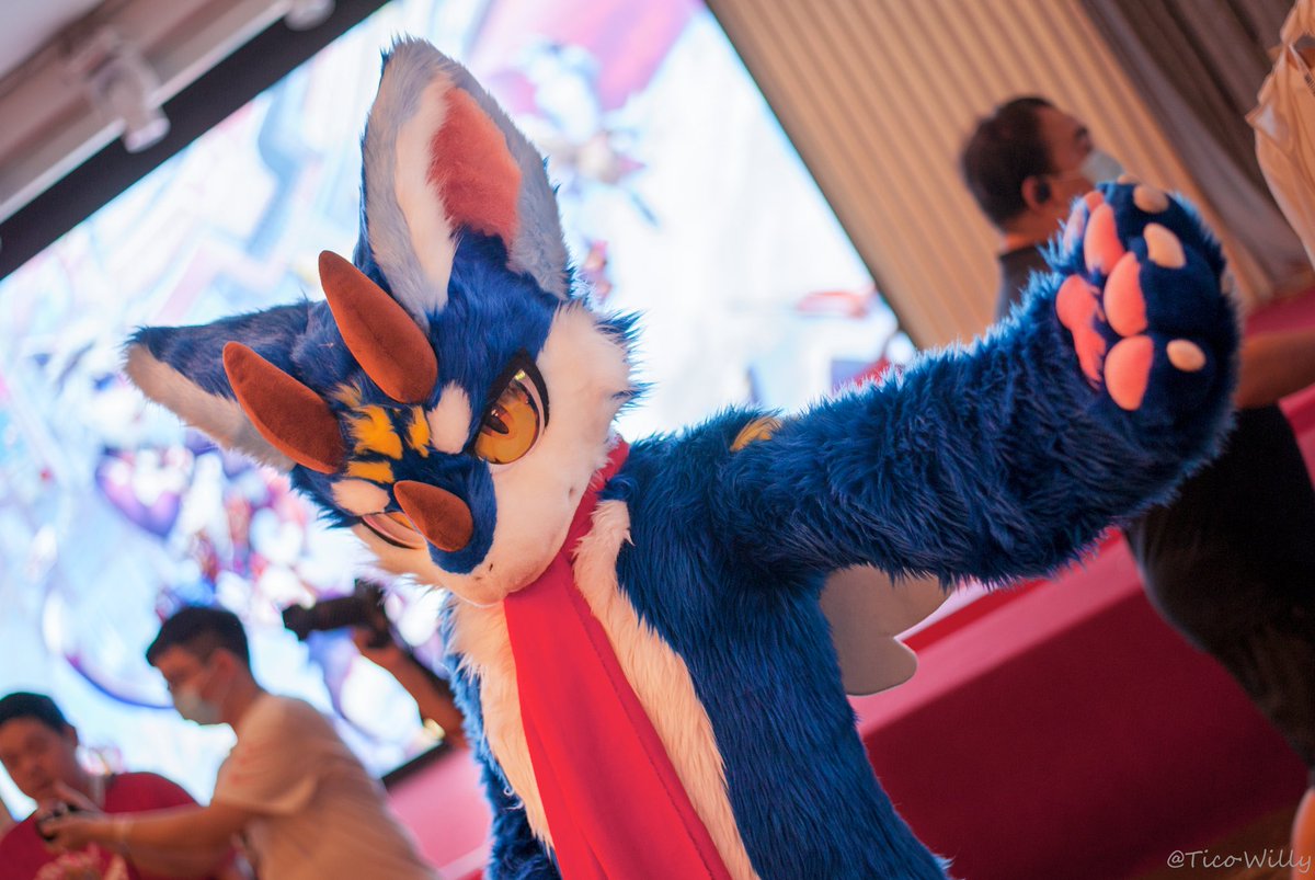 哈克 Huck tweet media