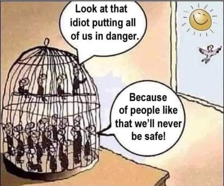 Em4SW7tXcAIzlGx?format=jpg&name=900x900